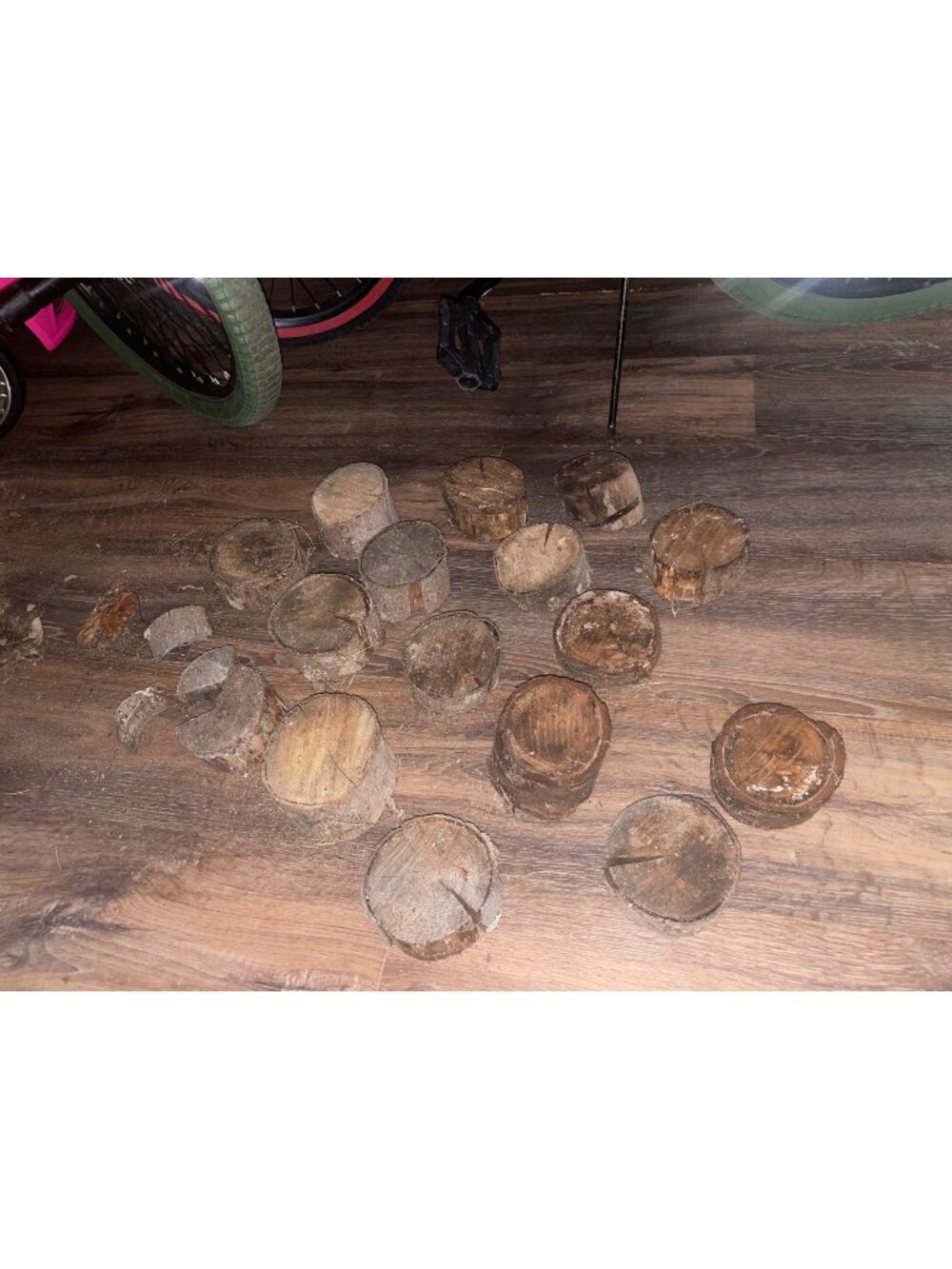 Rustic Natural Wood Slice Bundle Lot DIY Farmhouse Wedding Craft Decor